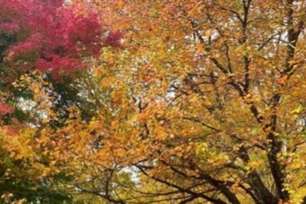 فيلا Poconos Peaceful Retreat - Families & Large Groups Tobyhanna المظهر الخارجي الصورة